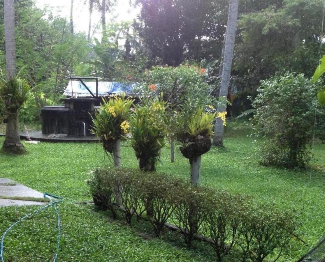 White Butterfly - A Countryside Homestay Thiruvananthapuram Exterior photo