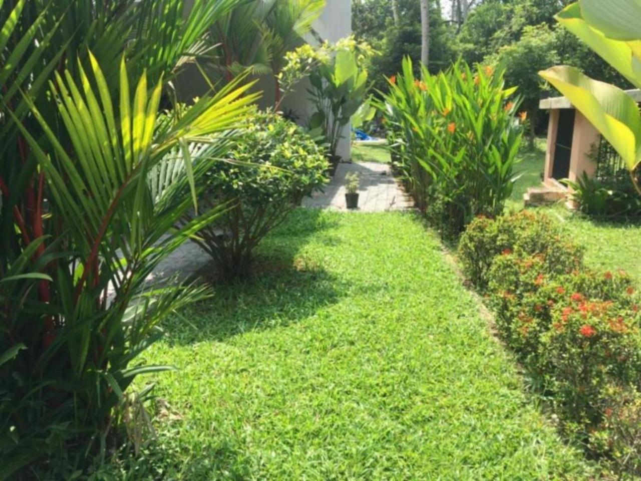 White Butterfly - A Countryside Homestay Thiruvananthapuram Exterior photo